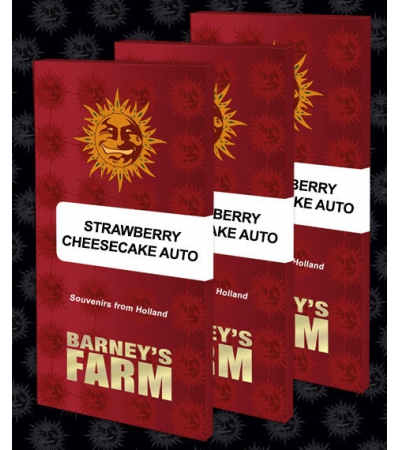 BARNEY'S FARM - Strawberry Cheesecake Auto