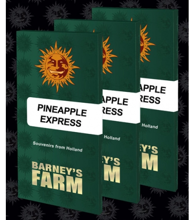 BARNEY'S FARM - Pineapple Express