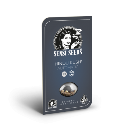 SENSI SEEDS - Hindu Kush Automatic